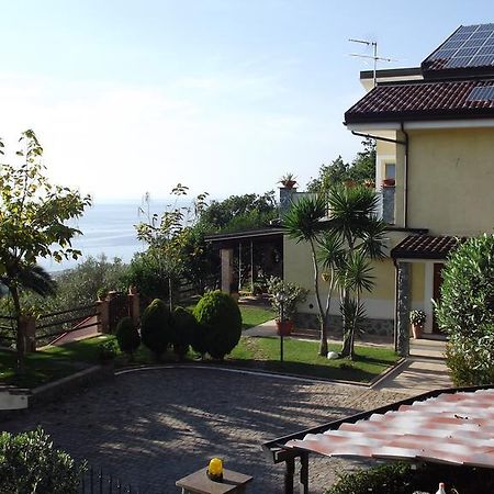 B&B L'Eucalipto Paola Exteriér fotografie